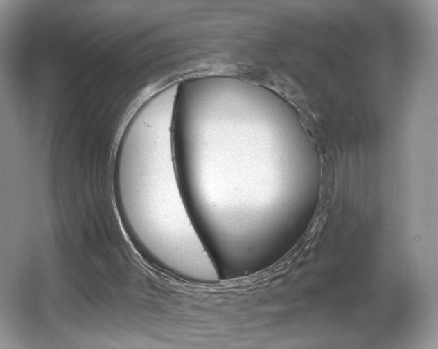 X0000067330003200603310910
