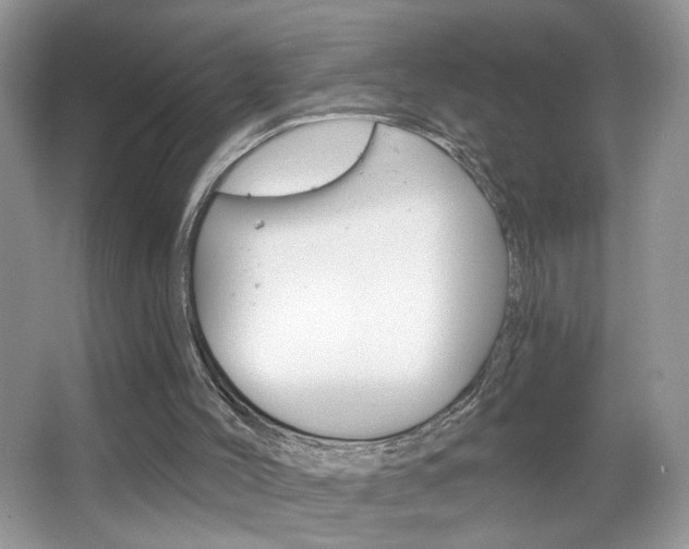 X0000067330004200603310910