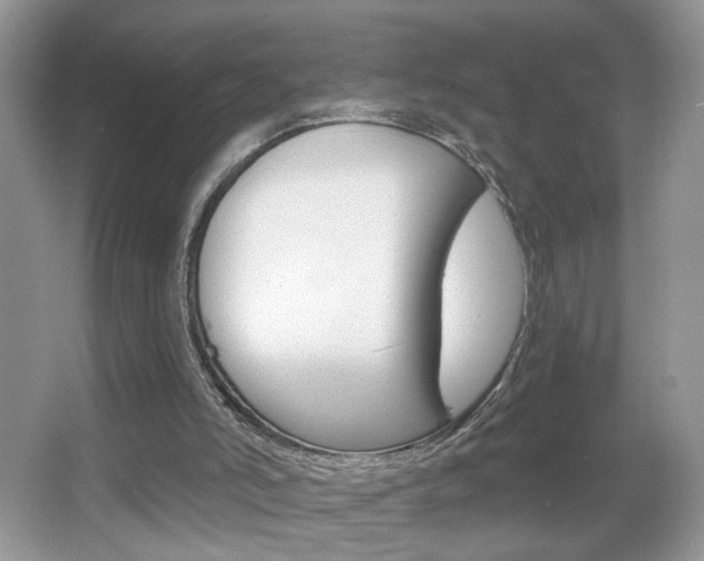 X0000067330006200603310910