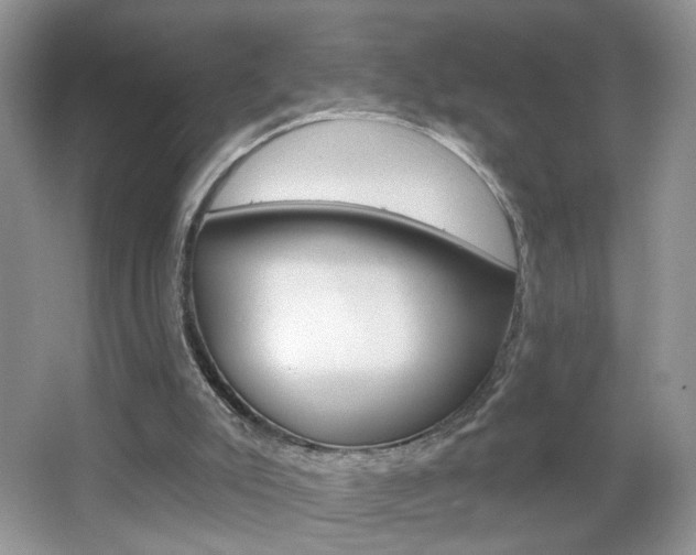 X0000067330007200603310910