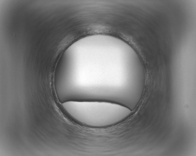 X0000067330010200603310910