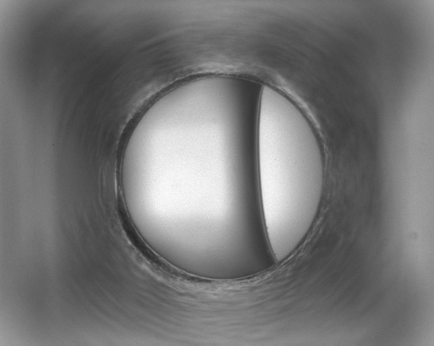X0000067330011200603310910