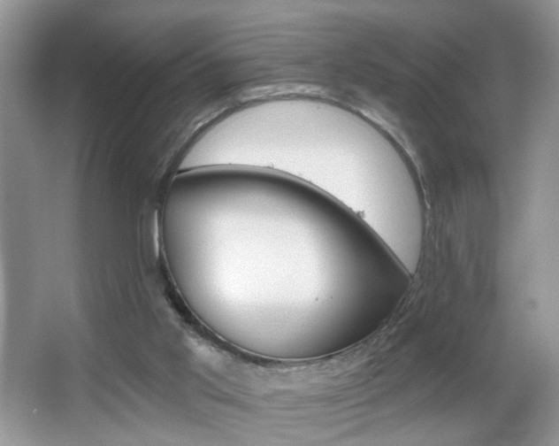 X0000067330013200603310910