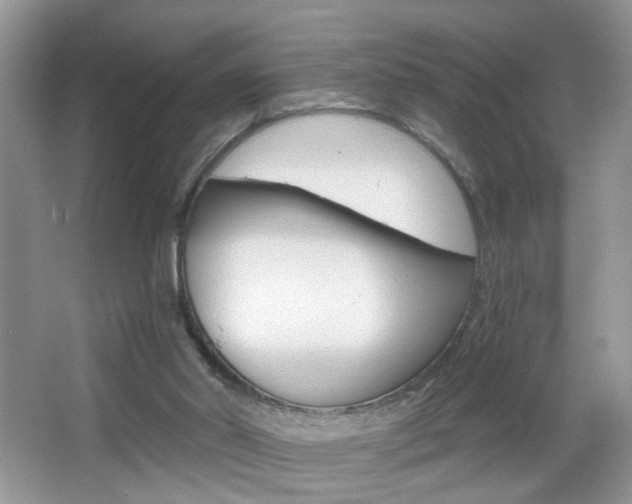 X0000067330014200603310910