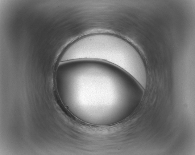 X0000067330015200603310910