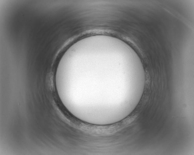 X0000067330016200603310910