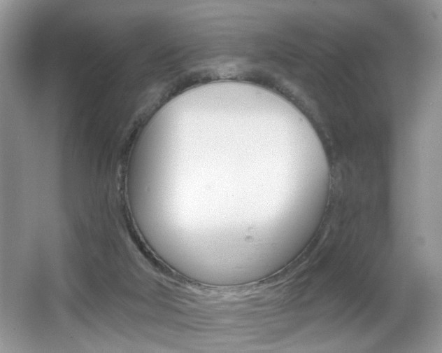 X0000067330018200603310910