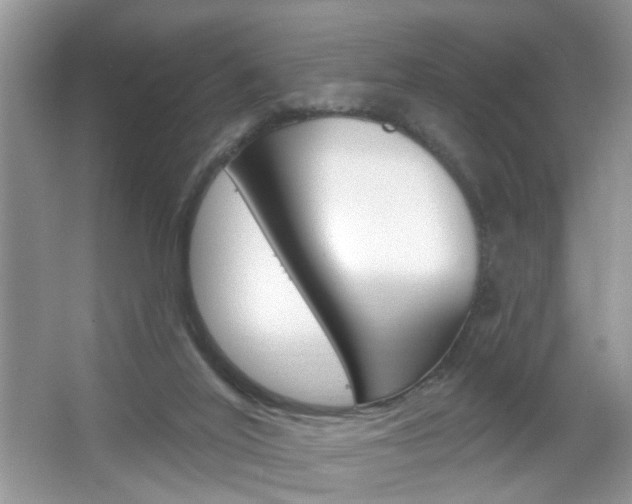 X0000067330020200603310910