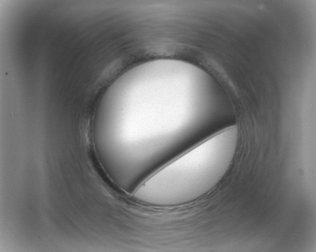 X0000067330023200603310910