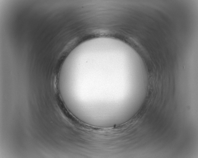 X0000067330024200603310910