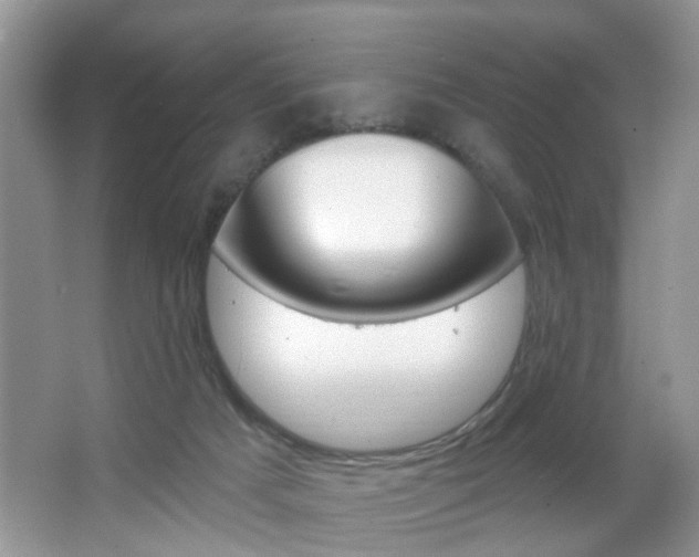 X0000067330025200603310910