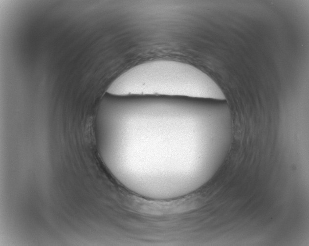 X0000067330034200603310910