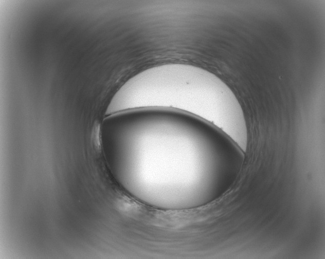 X0000067330041200603310910