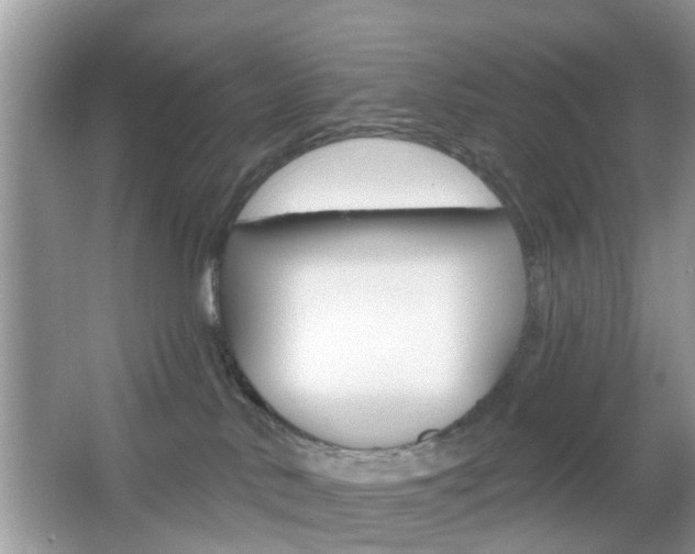X0000067330042200603310910