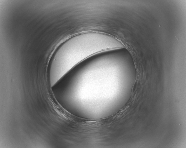 X0000067330050200603310909