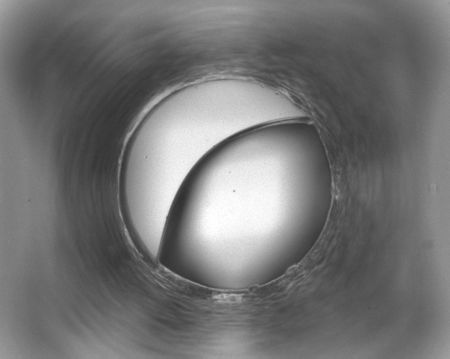 X0000067330052200603310909