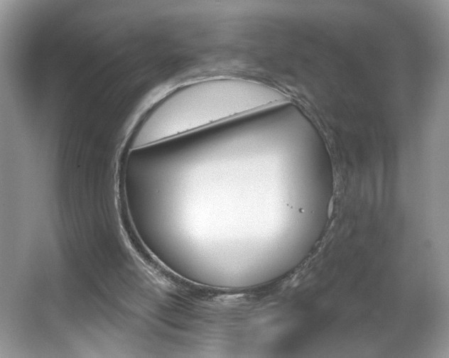 X0000067330054200603310909