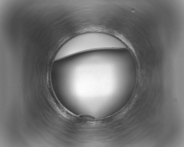 X0000067330057200603310909