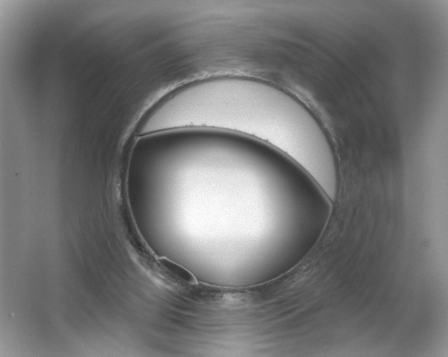 X0000067330060200603310909