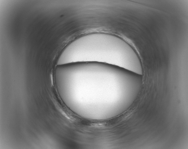 X0000067330061200603310909