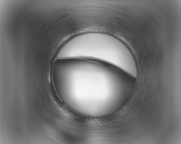 X0000067330062200603310909