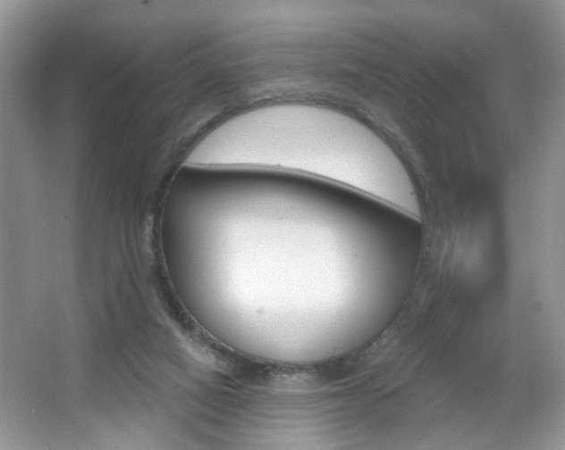 X0000067330066200603310909