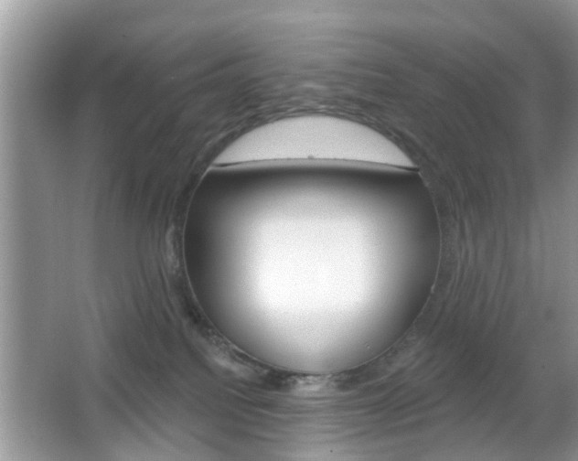 X0000067330088200603310910