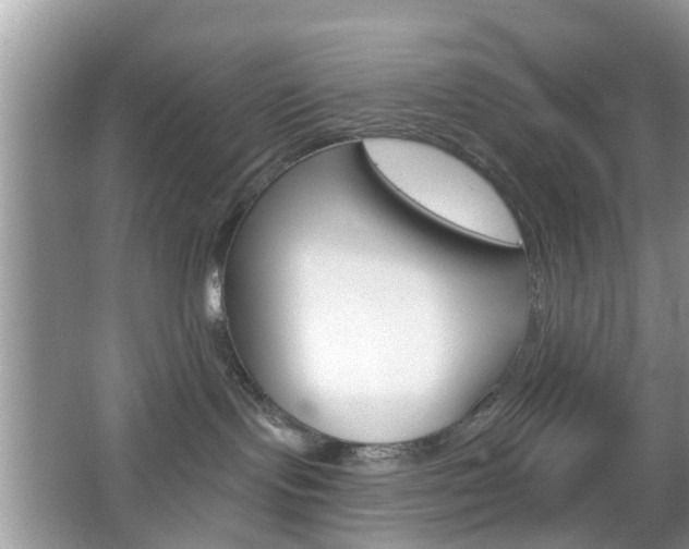 X0000067330095200603310910