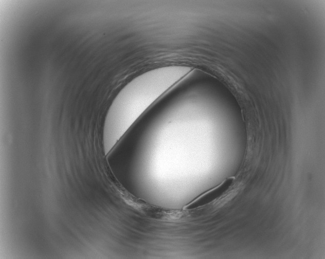 X0000067330096200603310910