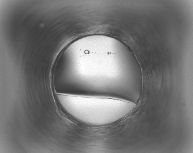 X0000067330100200603310909