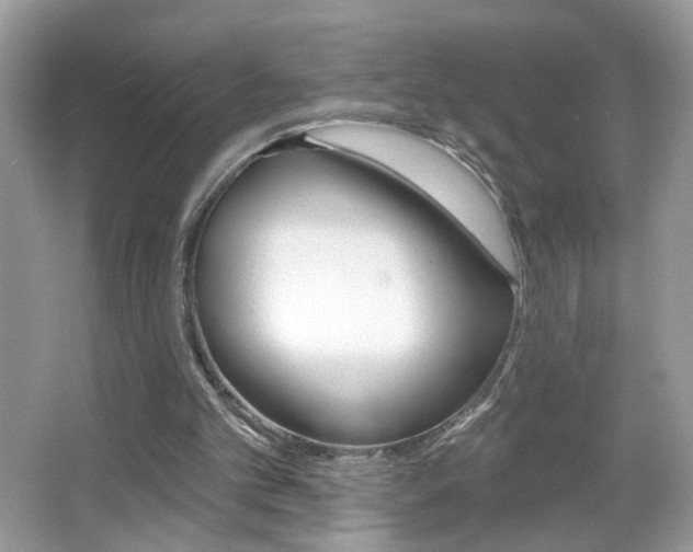 X0000067330101200603310909