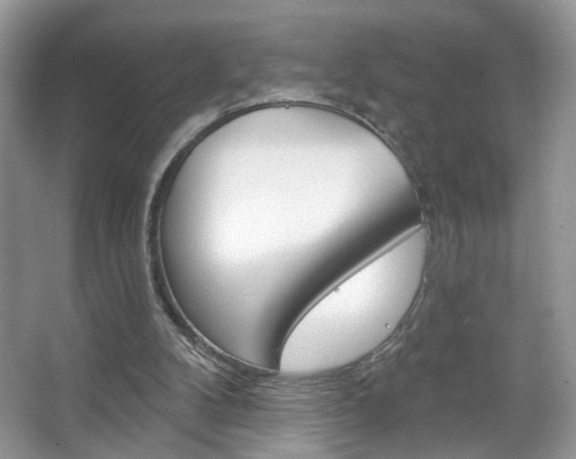 X0000067330104200603310909