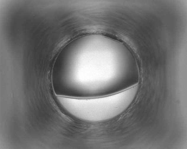 X0000067330105200603310909