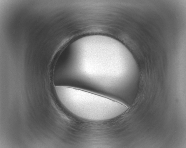 X0000067330112200603310909