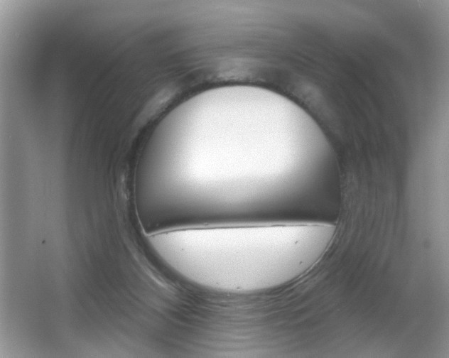 X0000067330116200603310909