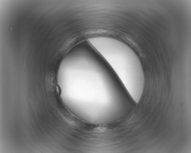 X0000067330119200603310909