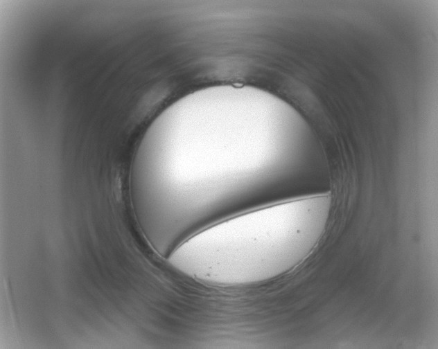 X0000067330120200603310908