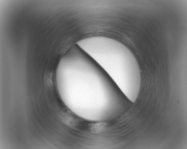 X0000067330122200603310908
