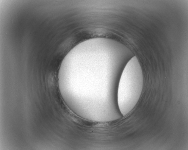 X0000067330126200603310908