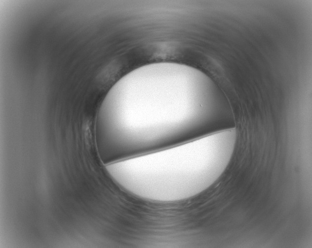 X0000067330127200603310908