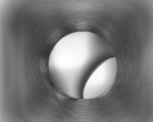 X0000067330136200603310908