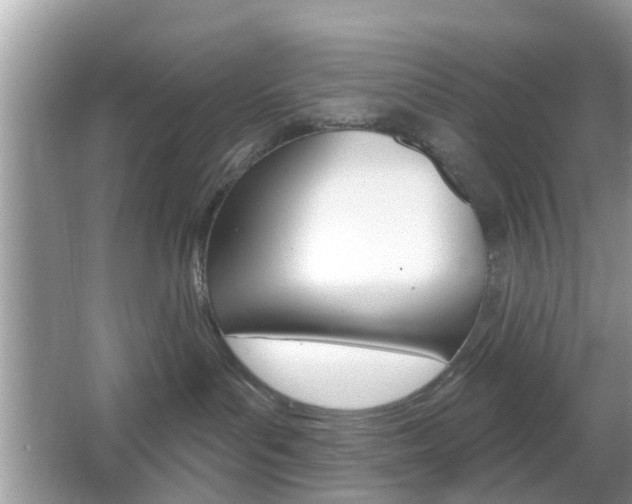 X0000067330143200603310908