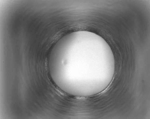 X0000067330144200603310908