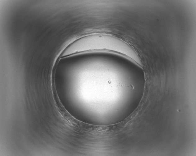X0000067330148200603310907
