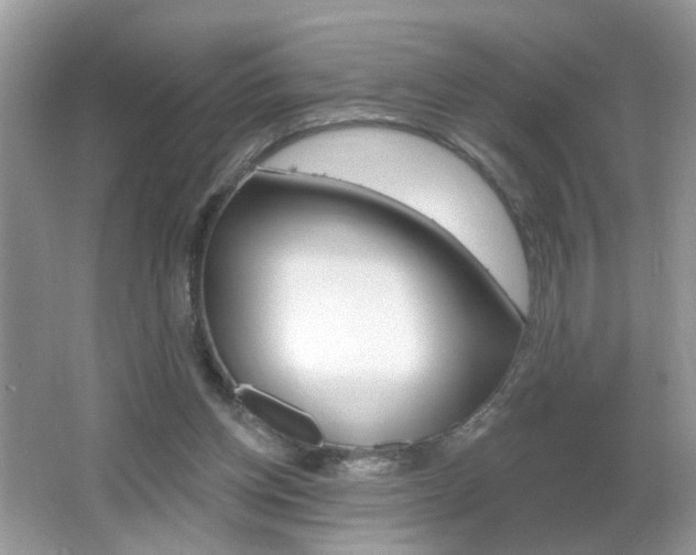 X0000067330158200603310907