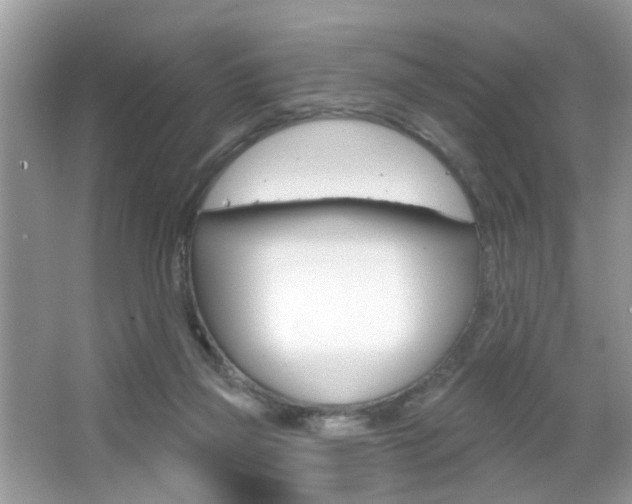 X0000067330165200603310908
