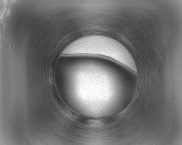 X0000067330170200603310908