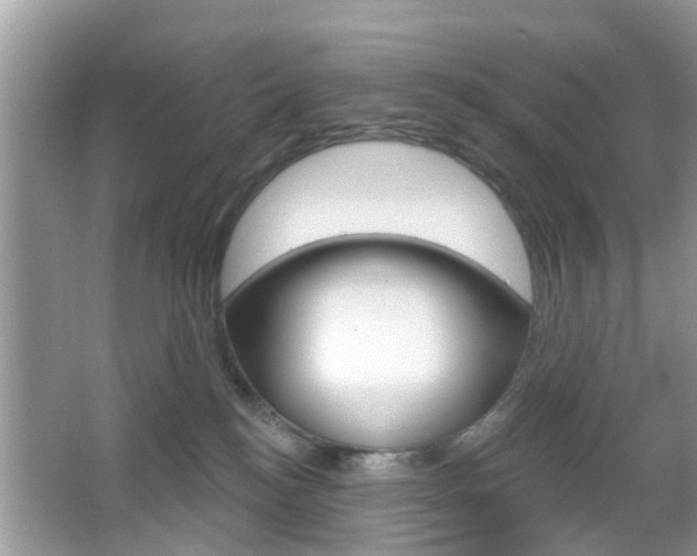 X0000067330184200603310908