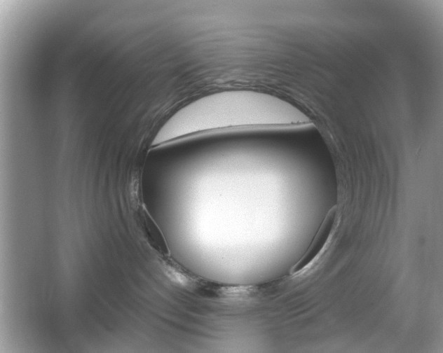 X0000067330192200603310908