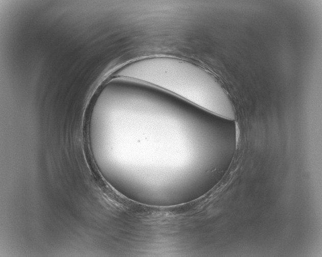 X0000067330195200603310907